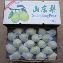 Preço por atacado de Green Shandong Pear